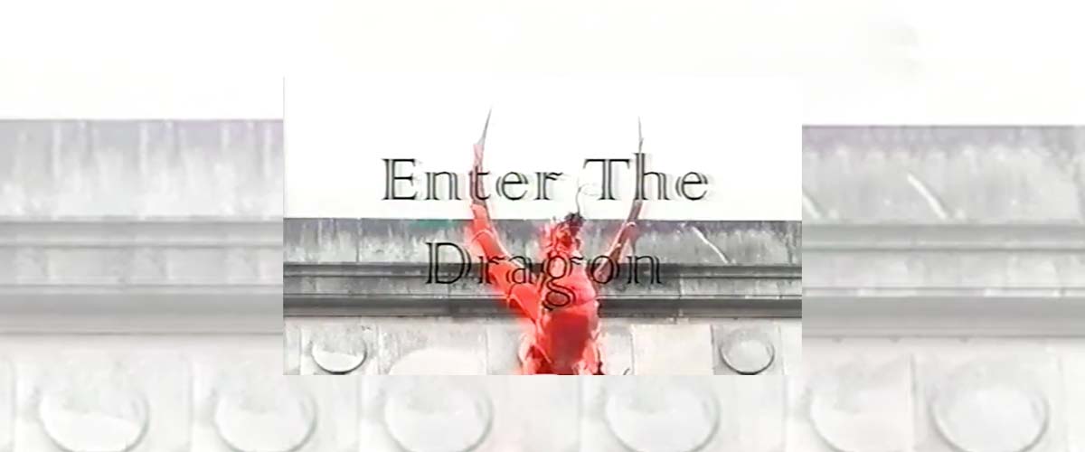 Welsh Skate History - Enter The Dragon