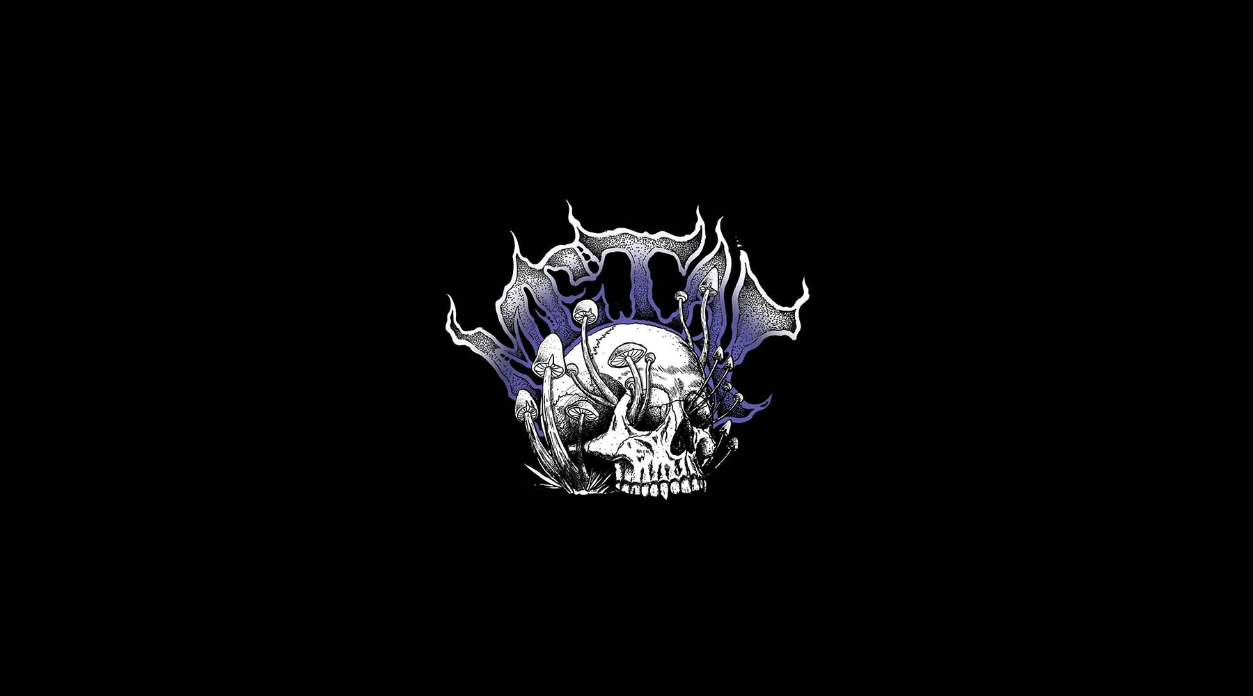 New Brand Alert - Metal Skateboards