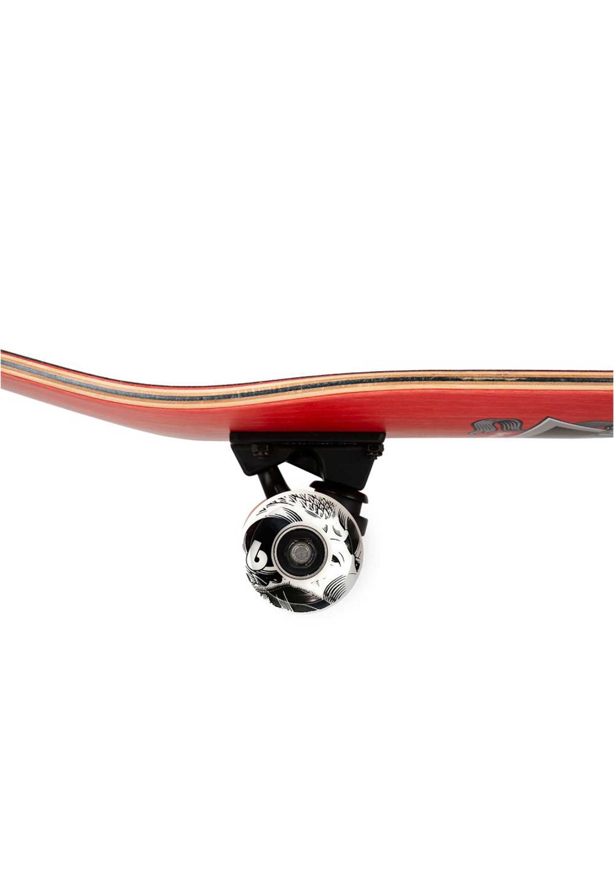 Birdhouse 'Hawk Skull 2' 8.25" Complete Skateboard