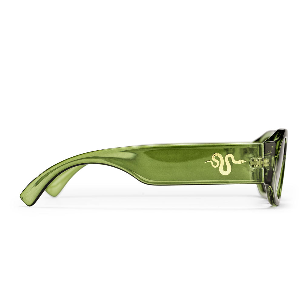 CHPO 'Brooklyn' Sunglasses (Forest Green)