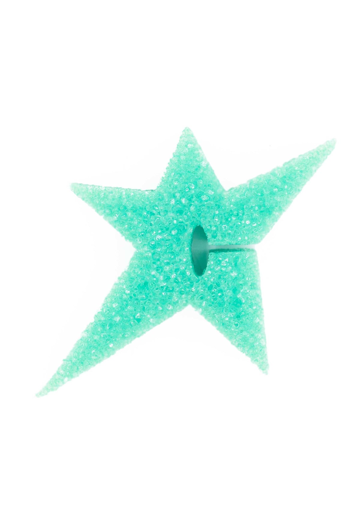 Carpet Company 'C-Star' Sponge (Green)