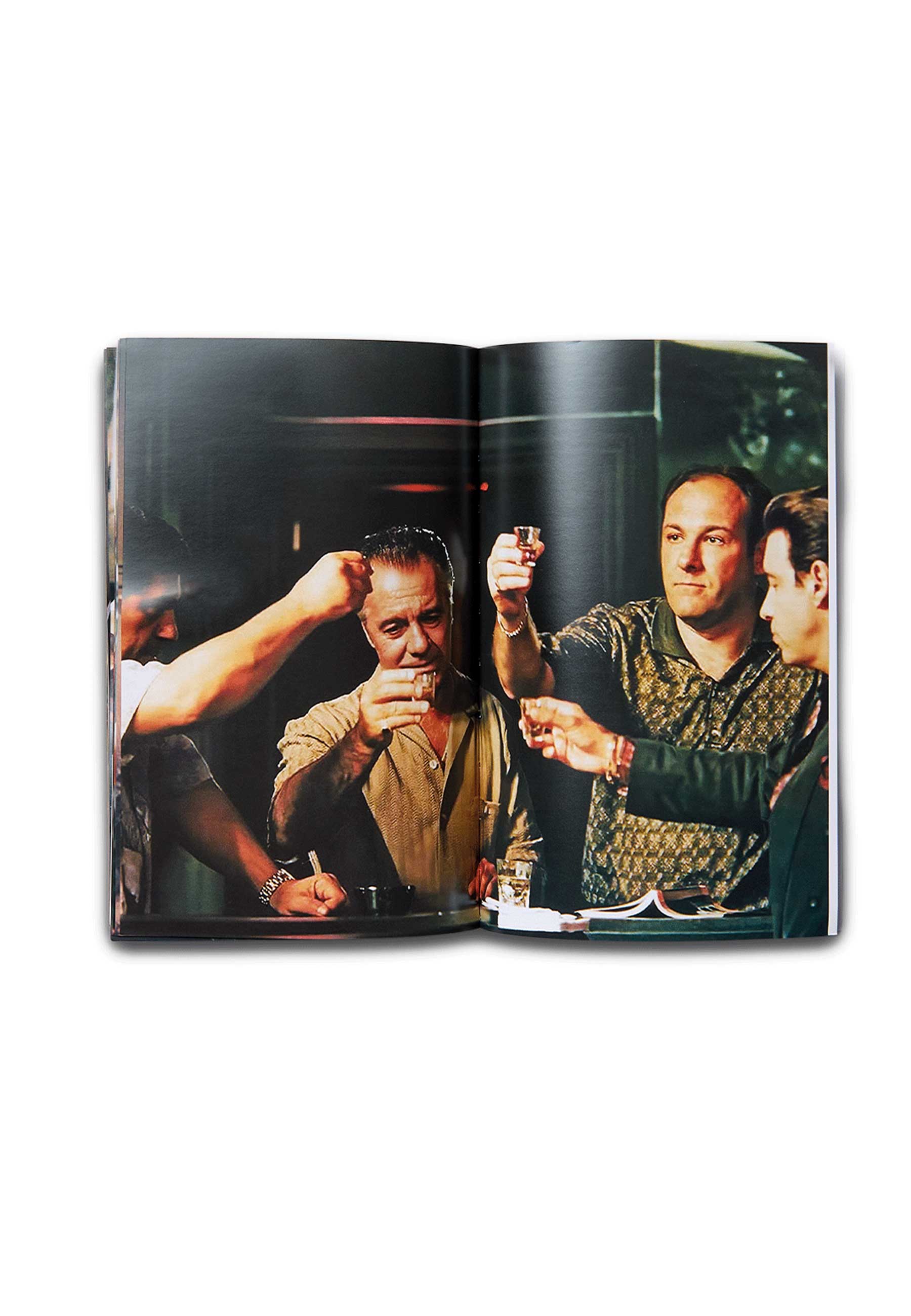 Living Proof 'The Sopranos: This Thing Of Ours' Book