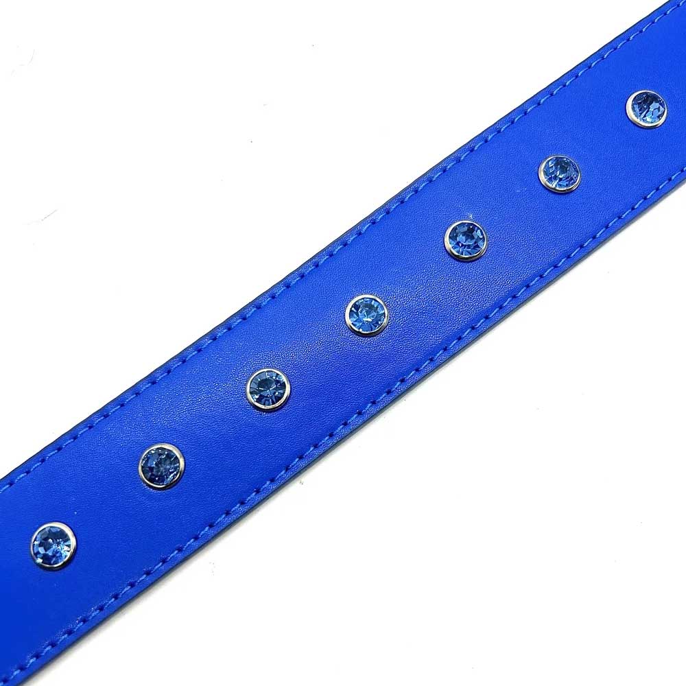 Loosey 'Rhinestone' Belt (Royal Blue)