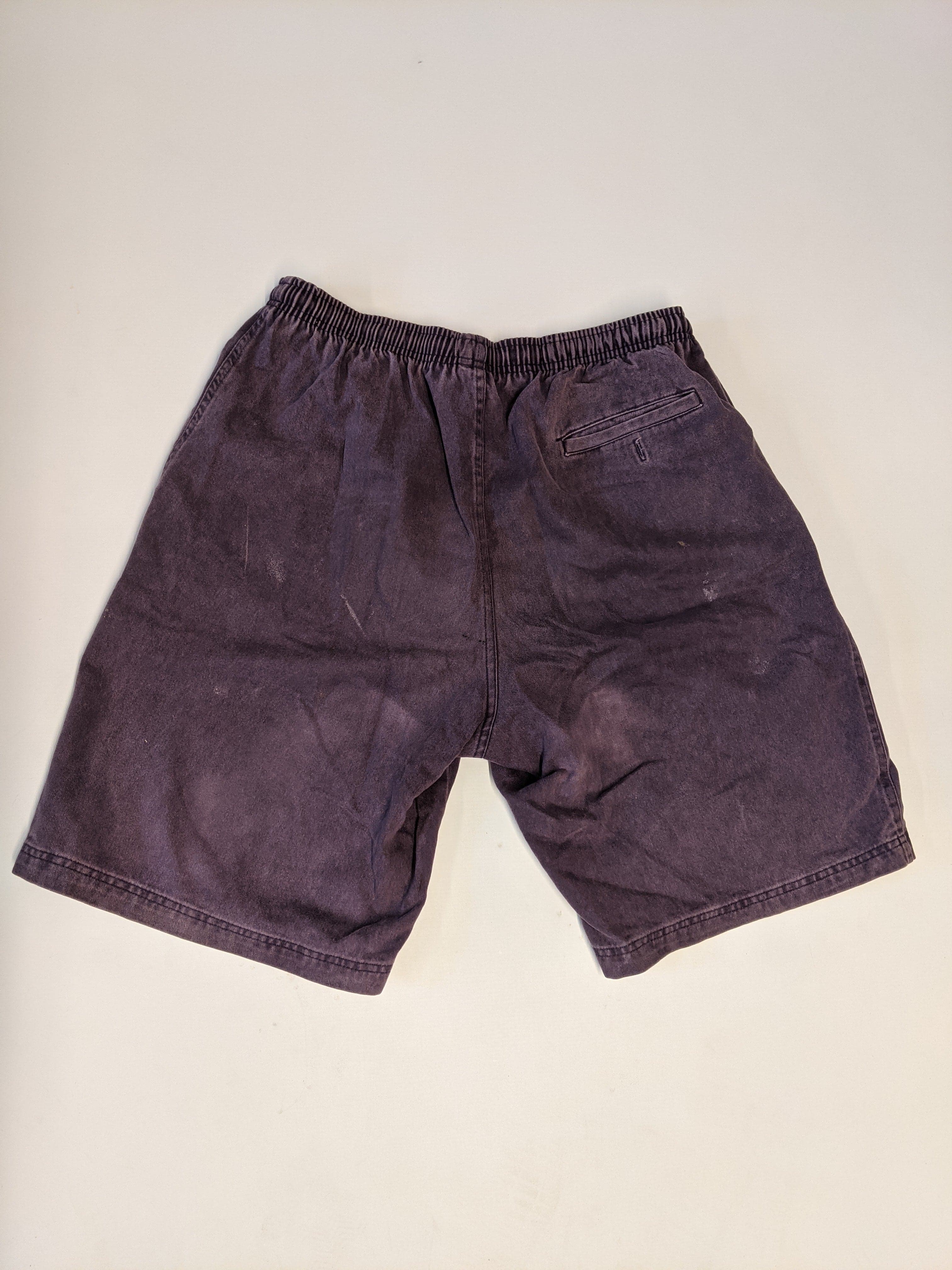 Powell Peralta Fly Shorts PURPLE 90s vintage