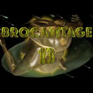 Brocamtage Volume 13