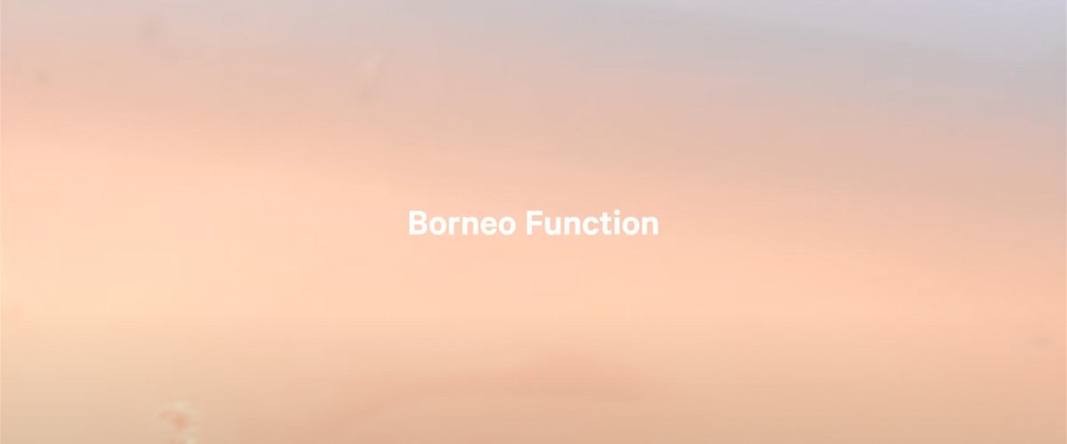 Borneo Function Banner