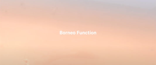 Borneo Function Banner