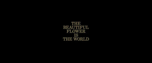 Product Spotlight - Jerry Hsu The Beautiful Flower Is The World Book