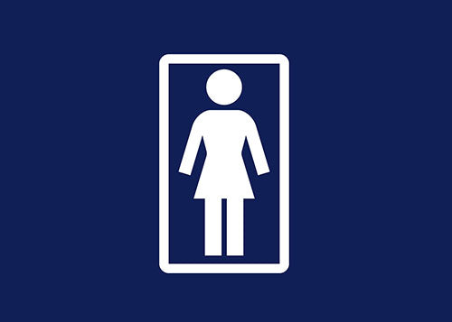 Girl Skateboards Banner - CSC, Cardiff Skateboard Club - UK Skate Store