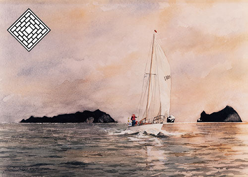 The National Skateboard Co