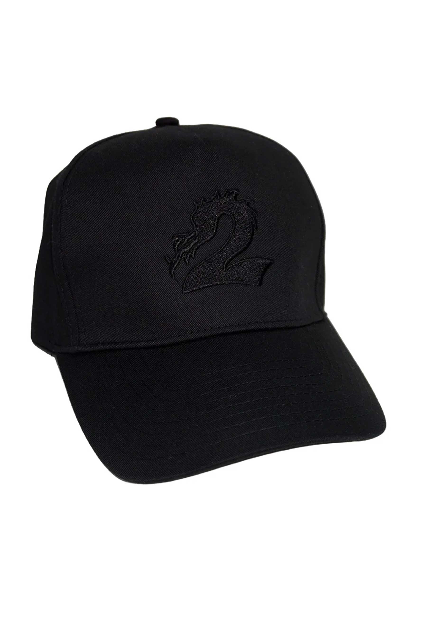 2 Riser Pads 'Dragon' 5 Panel Cap (Tonal Black)