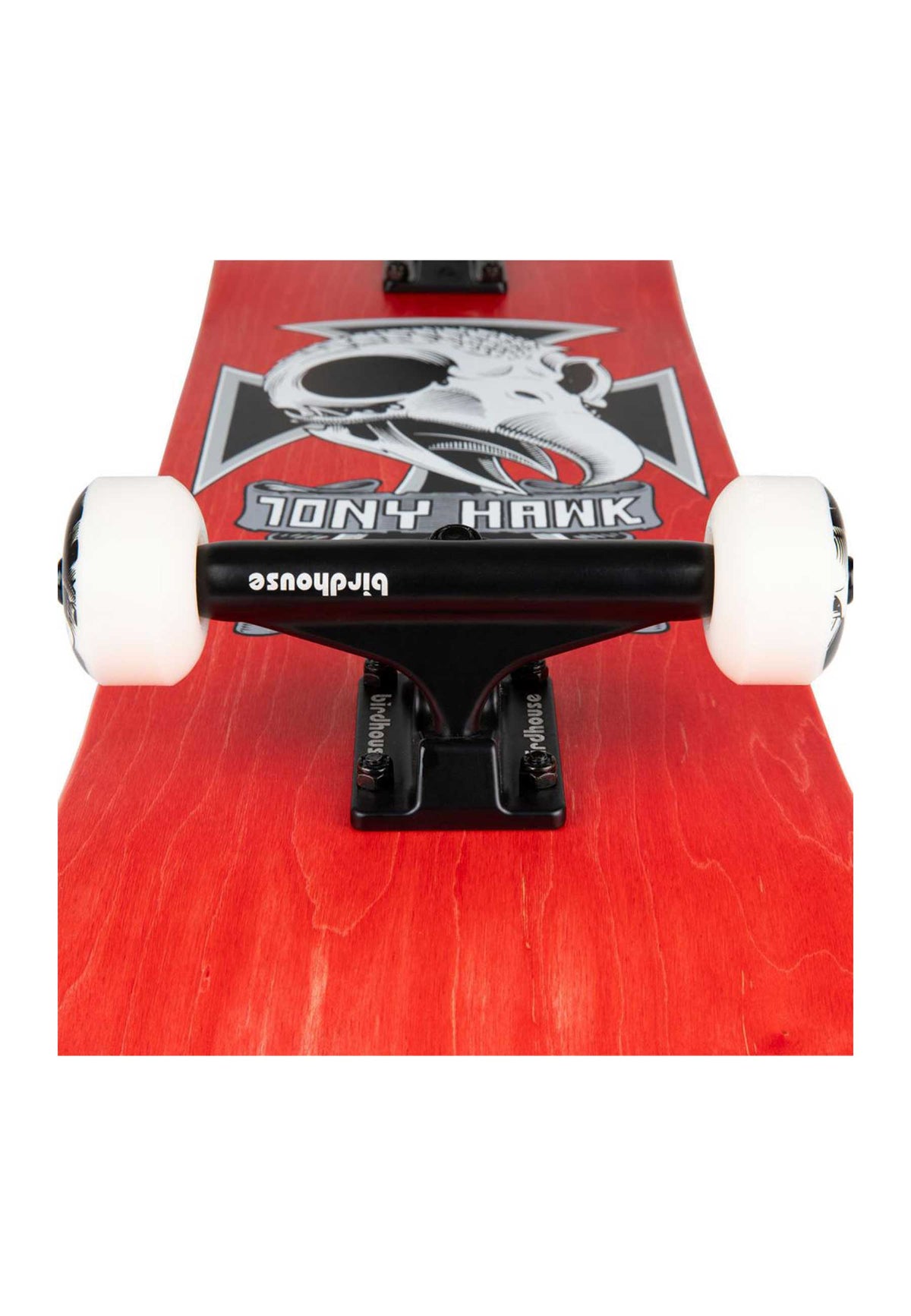Birdhouse 'Hawk Skull 2' 8.25" Complete Skateboard