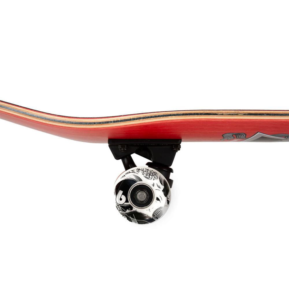 Birdhouse 'Hawk Skull 2' 8.25" Complete Skateboard