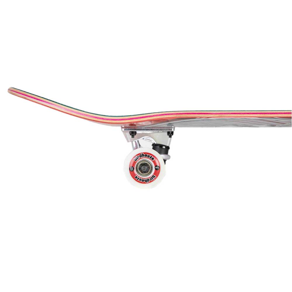 Birdhouse 'Team Logo' 8.25" Complete Skateboard