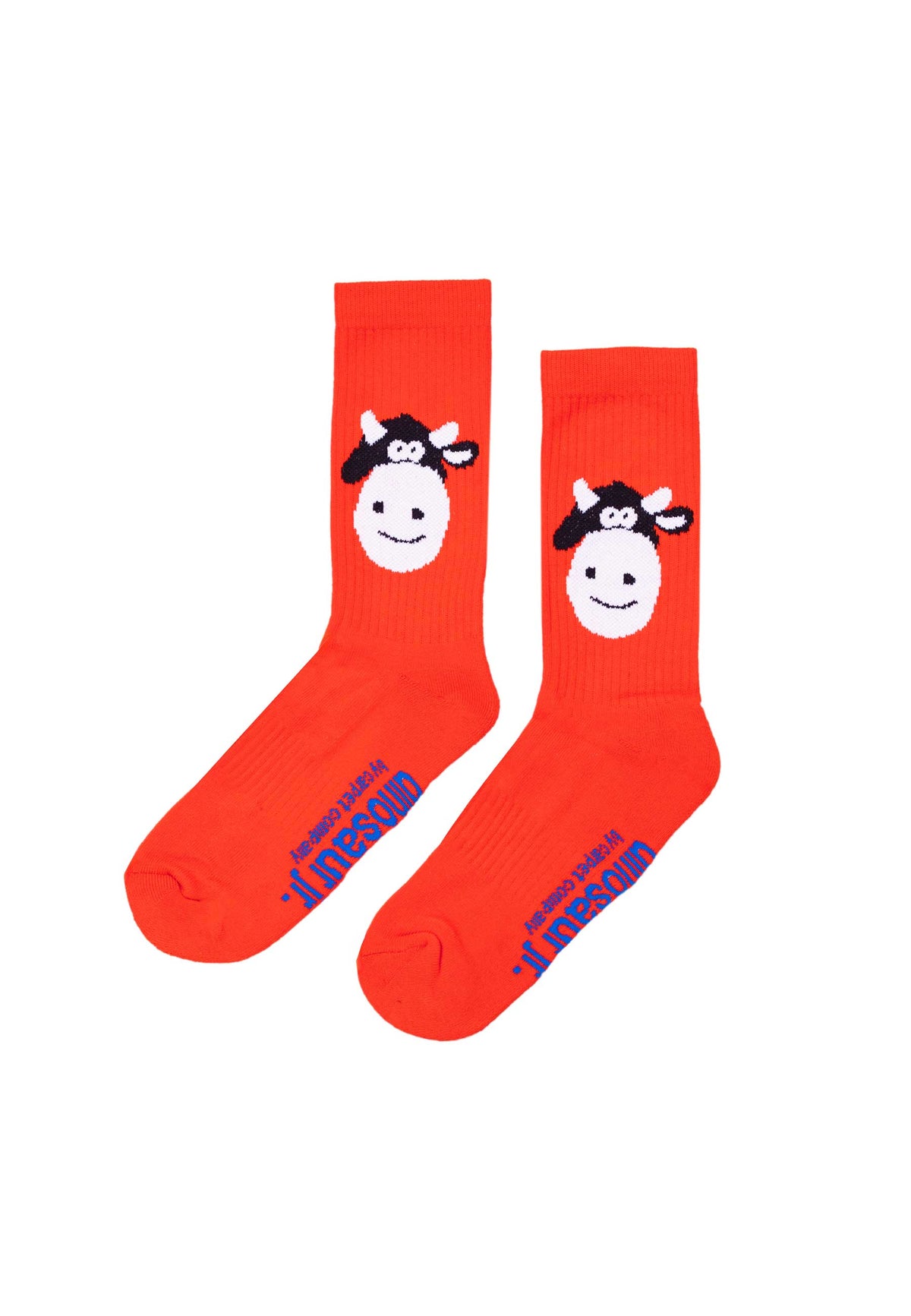 Carpet Company 'Dinosaur' Socks (Red)