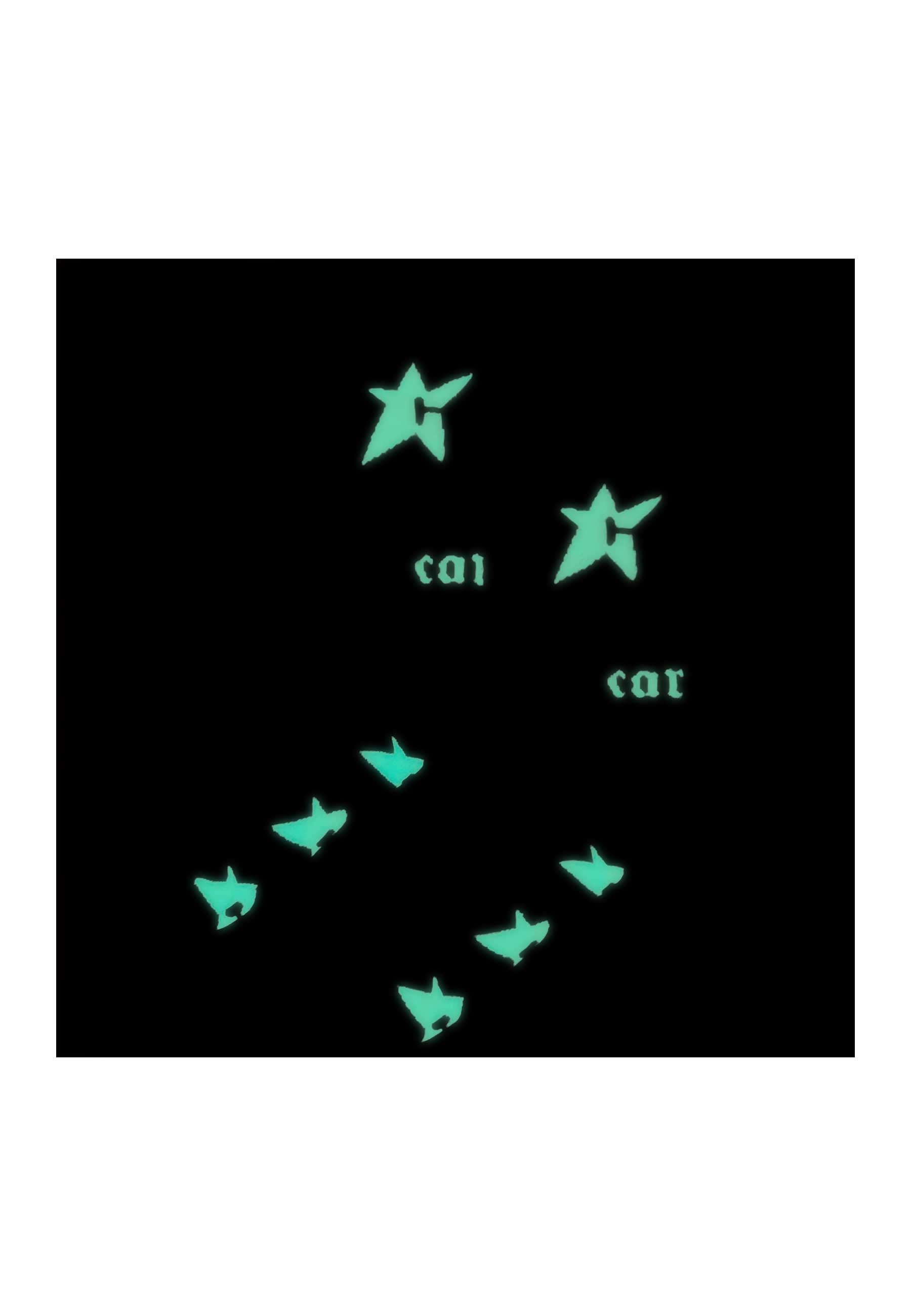 Carpet Company 'Glow In The Dark C-Star' Socks (Black)