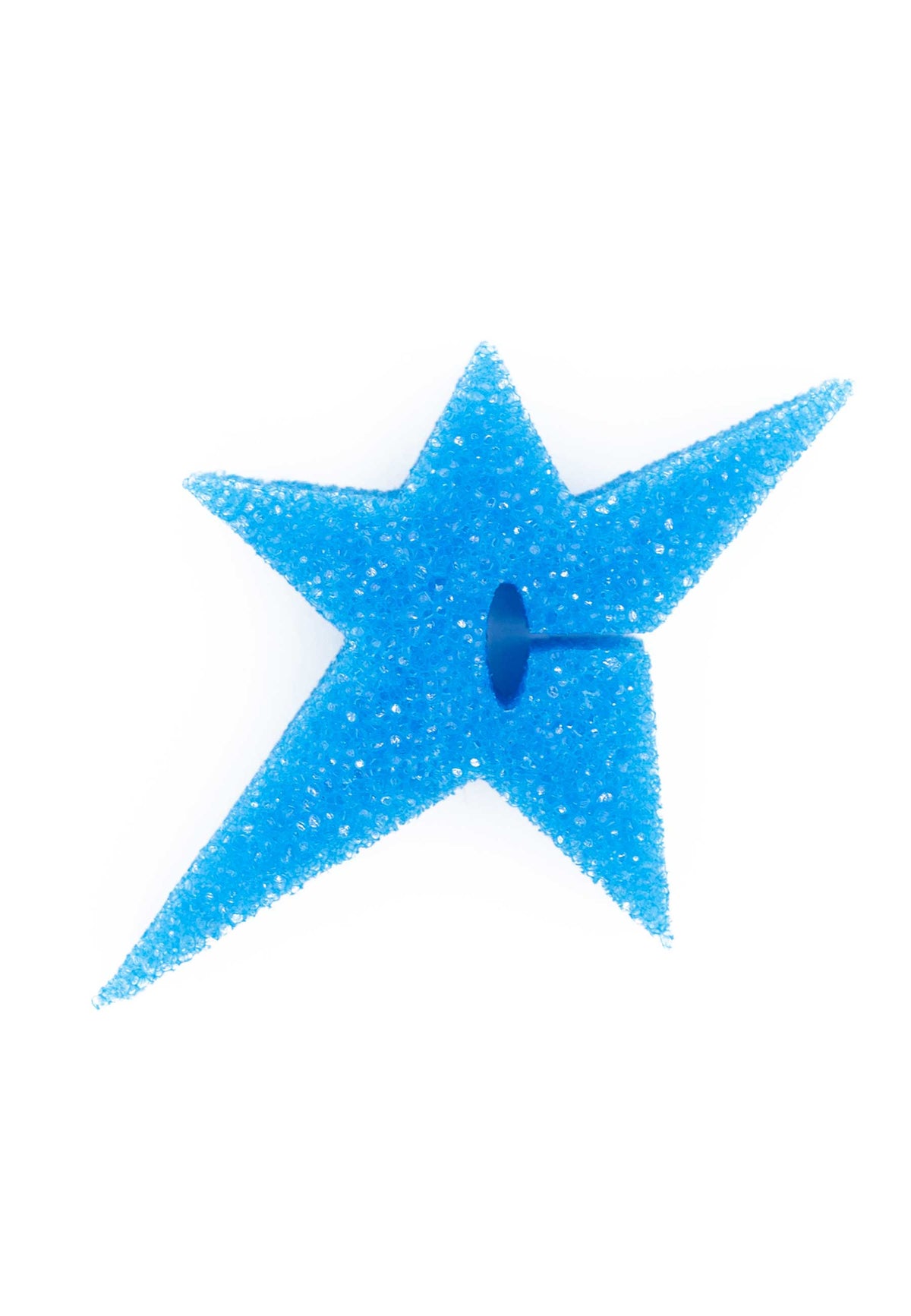 Carpet Company 'C-Star' Sponge (Blue)