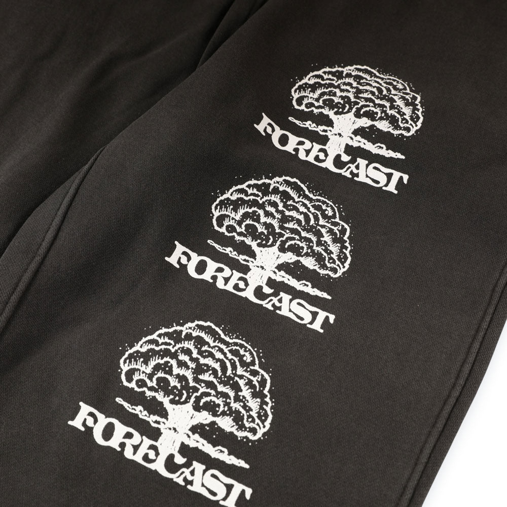 Forecast 'Brainfreeze' Joggers (Faded Black)