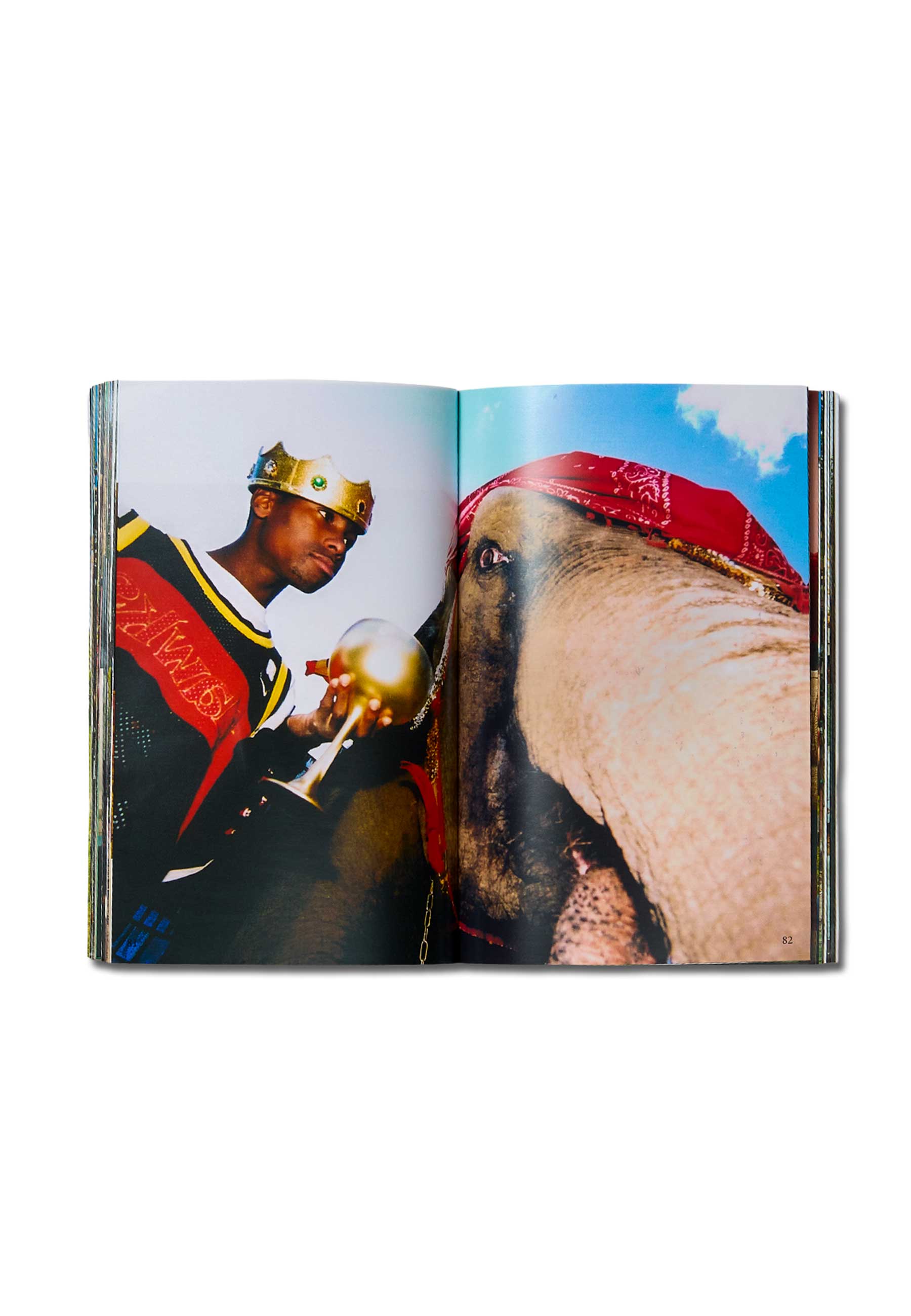 Living Proof 'Can't K*ll Yourself' Book